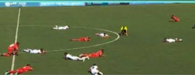  Abejas interrumpen partido de LPF en Penonomé 

 – Panorama 24