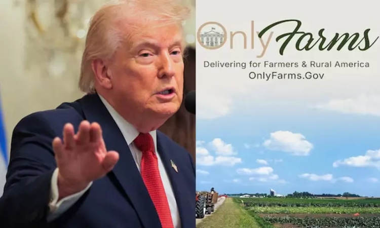  La Casa Blanca ha lanzado OnlyFarms

 – Panorama 24