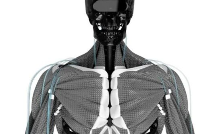  otra operación de coche

 – Panorama 24