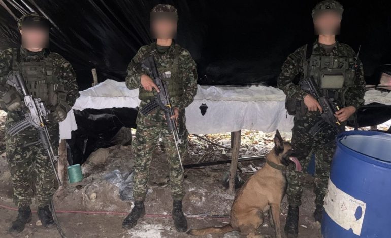  Hela es la canina que caminó 28 kilómetros en el Catatumbo para regresar a un batallón del Ejército

 – Panorama 24